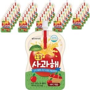 아이배냇 오늘사과해 100ml