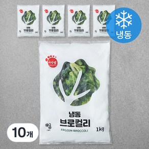 식재료마당발 중국산 브로컬리 (냉동), 1kg, 10개