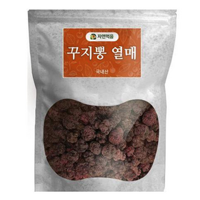 자연먹음 꾸지뽕 건열매, 100g, 1개