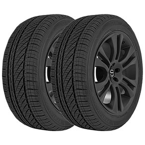 브리지스톤타이어 투란자 세레니티 플러스 245/45R19, 2개, 출장장착