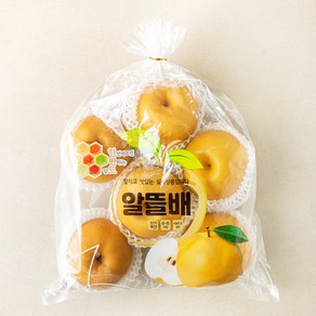 천안 당도선별 알뜰배, 3kg(6~8입), 1개