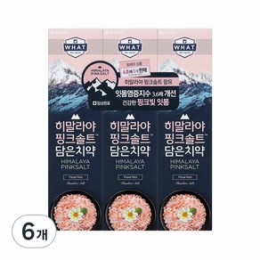 히말라야핑크솔트 담은 치약 플로럴, 100g, 6개