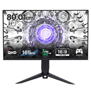 인터픽셀 QHD 165Hz USB C타입 IPS 평면 게이밍 모니터, 80cm, IPQ3242(일반)