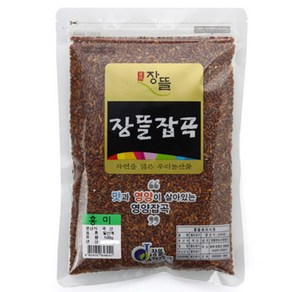 장뜰 홍미, 500g, 1개