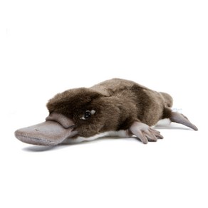 한사토이 동물인형 3664 오리너구리1호 Platypus with eyepatch, 12cm, 갈색, 1개