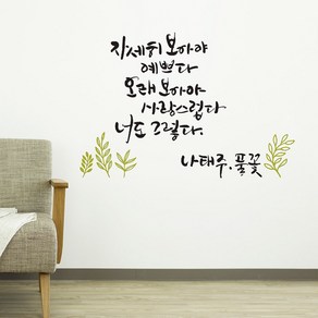 디자인엠 풀꽃 캘리그라피 스티커, 올리브블랙