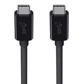 벨킨 3.1 USB C to C타입 100W 케이블 F2CU052bt1M, 1m, 블랙, 1개