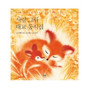 사랑 그림 태교 동시집:태어날 아기에게 들려주는 사랑스러운 그림동시 80편, 북핀