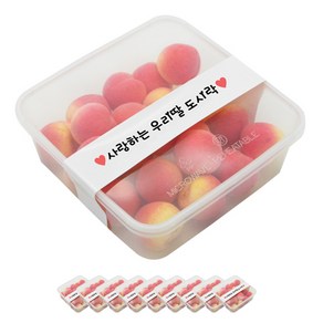 도나앤데코 PP일회용 내열 사각도시락 용기 1000ml 10p + 띠지스티커 화이트 사랑하는우리딸 도시락 10p, 1세트