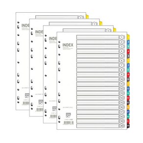 알파 인덱스간지 PVC 20분류 A4 AI-620, 4개입