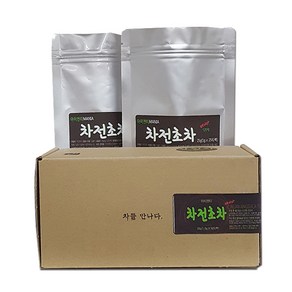 아이앤티 차전초차 25p, 1.2g, 25개입, 2개