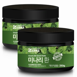 조은약초 프리미엄 미나리환, 2개, 250g