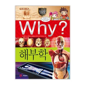 Why? 해부학