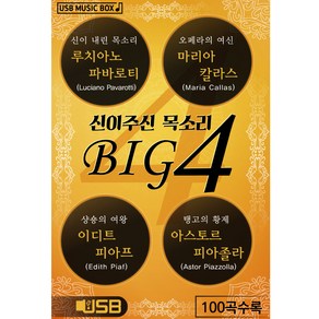 BIG4 신이 주신 목소리, 1USB