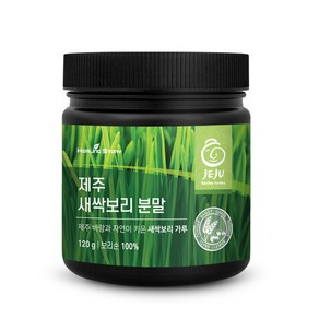 힐링스토리 제주 새싹보리 분말, 1개, 120g