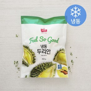 생활앤 냉동 두리안 베트남산 (냉동), 450g, 1개