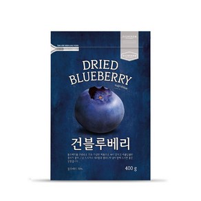 리치팜너트 건블루베리, 400g, 1개