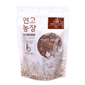 연고농장 국내산 볶은 우엉차, 250g, 1개입, 1개