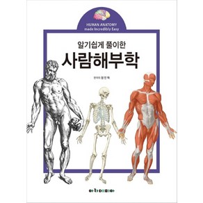 알기쉽게 풀이한사람해부학