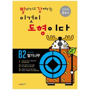 빨라지고 강해지는 이것이 도형이다 B2: 쌓기나무, 시매쓰, 상품상세설명 참조