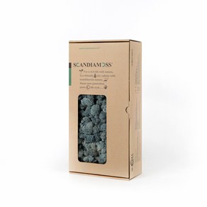 스칸디아모스 이끼 RM500 아이스블루 500g, 1개