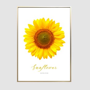 해바라기 Yellow Sunflower 포스터 + 알루미늄 액자