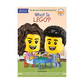 What Is Lego?:, Penguin Wokshop