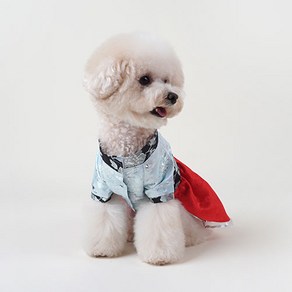 황진이 원피스 반려동물 한복, 혼합색상, 1개