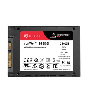 씨게이트 Ironwolf 125 SSD NAS