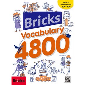 Bricks Vocabulary 4800