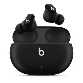 Apple 정품 Beats 스튜디오 버즈, 블랙