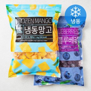 딜라잇가든 칠레산 블루베리 1kg + 망고 다이스 1kg 세트 (냉동)