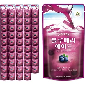 발란스그로우 블루베리 에이드, 50개, 230ml, 파우치