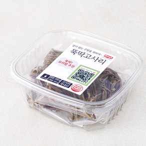 나무새 뚝딱 고사리, 400g, 1개