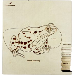 스투카푸카 몬테소리 개구리 퍼즐, 1개