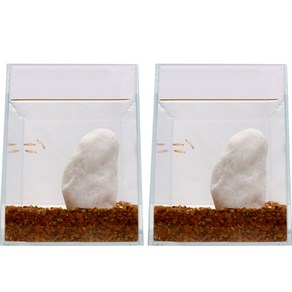 미미네아쿠아 내추럴 목문사 어항 바닥재 3~5mm 3kg, 혼합색상, 2개