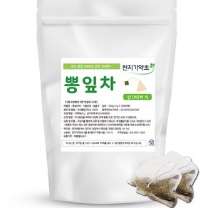 천지가약초 뽕잎차 삼각티백, 1g, 100개입, 1개