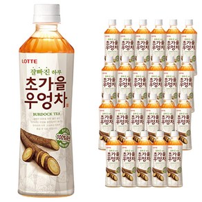 롯데칠성음료 잘빠진 하루 초가을 우엉차, 500ml, 24개