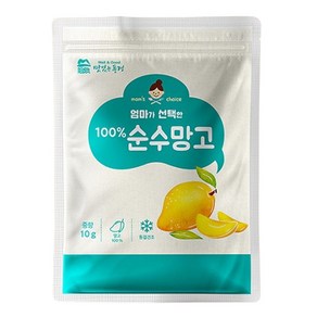 맛있는풍경 엄마가 선택한 순수망고, 10g, 1개