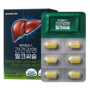 경남제약헬스케어 케어플러스 간건강엔 밀크씨슬 30g, 60정, 1개