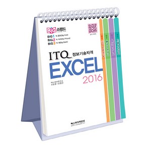 빅스탠드 ITQ 엑셀 2016 스프링, 렉스미디어닷넷