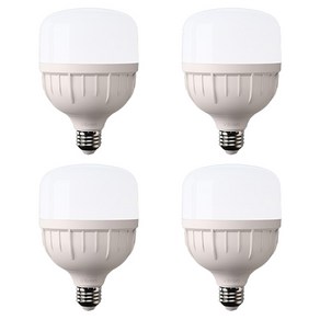 비츠온 LED T 벌브 E26 30W, 주광색, 4개