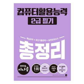 2025 시나공 총정리 컴퓨터활용능력 2급 필기