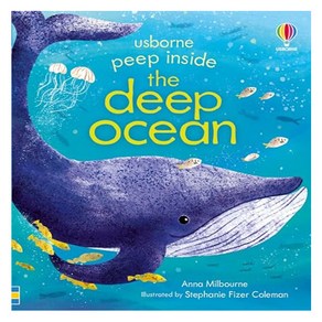 Peep Inside the Ocean, USBORNE CAT ANG