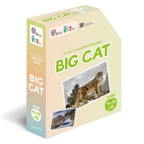 EBS ELT 빅캣 시리즈 Big Cat Band11&12&13 Full Package, 풀 패키지 11&12&13번