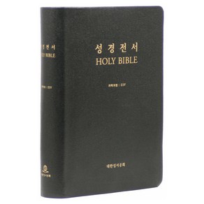 개역개정판 ESV 한영대조 성경전서 (S87EDI / 대 / 단본 / 무색인)