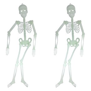 스투피드 야광 해골 장식