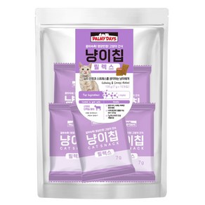 파미데이즈 고양이 냥이칩, 105g, 1개