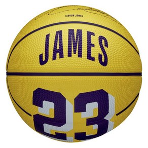 윌슨 NBA PLAYER ICON 미니 농구공 JAMES WZ4027701XB3, 1개