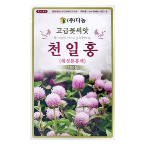 다농 천일홍 왜성분홍색 씨앗 100p, 1개